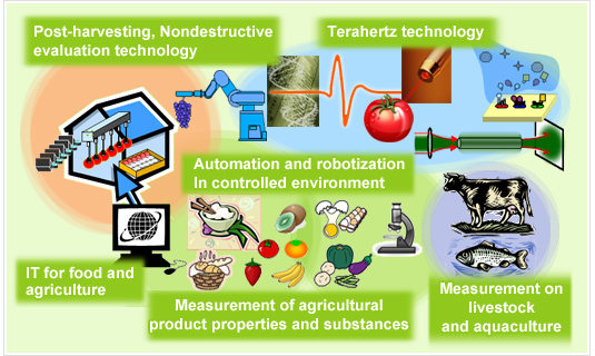 Main research themes of Our Lab.