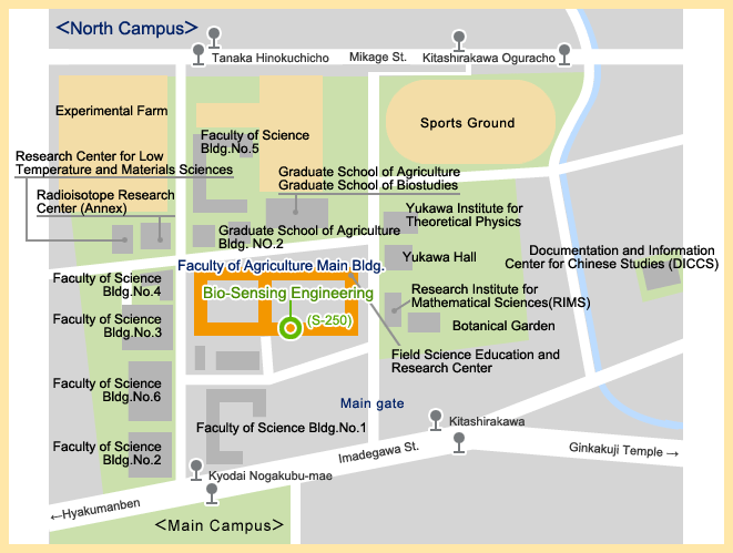 Access Map